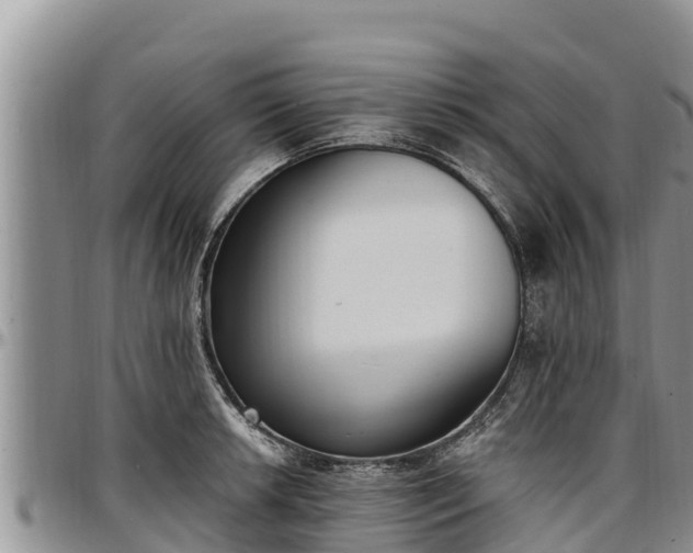 X0000097511042200802291615