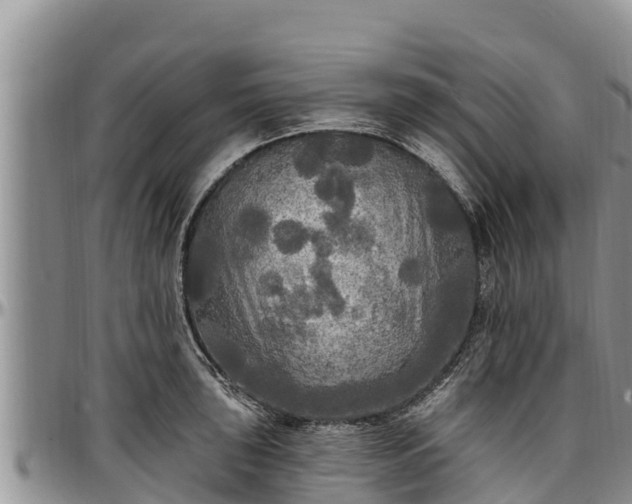 X0000097511043200802291615