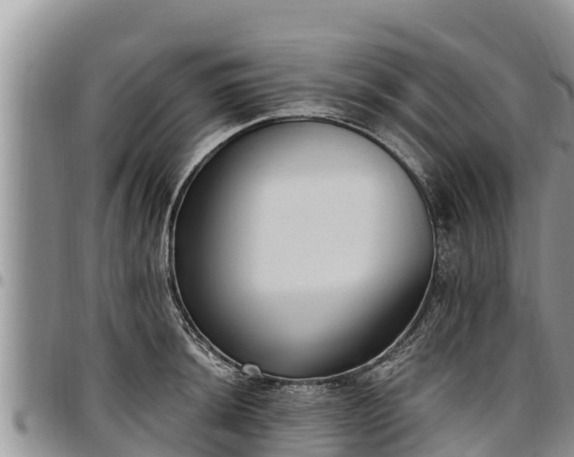 X0000097511044200802291615
