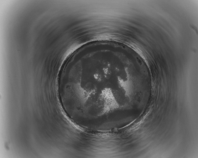 X0000097511045200802291615