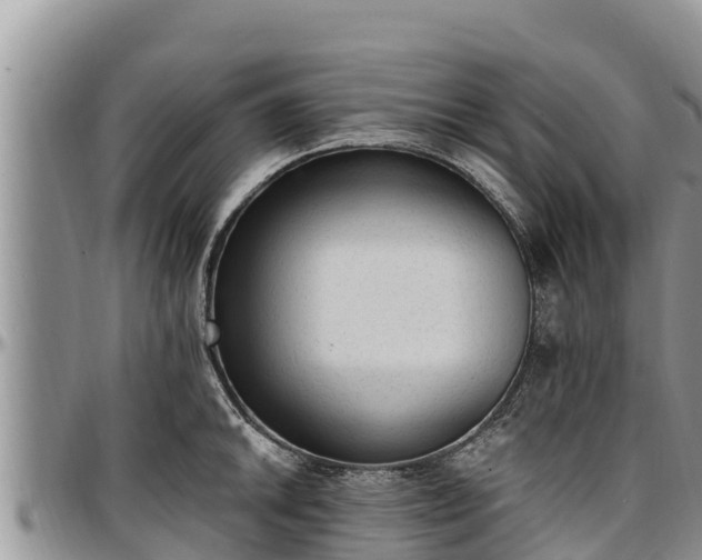 X0000097511046200802291615