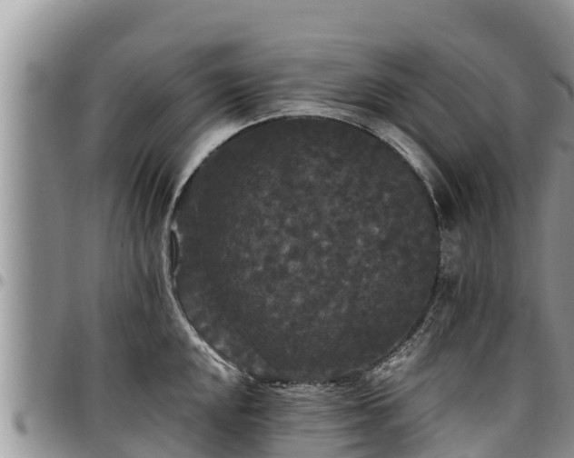 X0000097511048200802291615