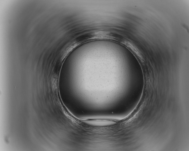 X0000097511049200802291615