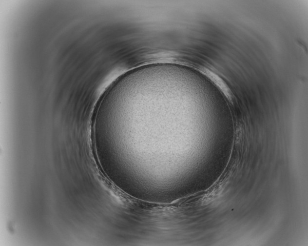 X0000097511051200802291615