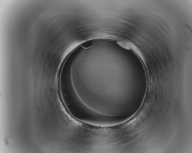 X0000097511053200802291615