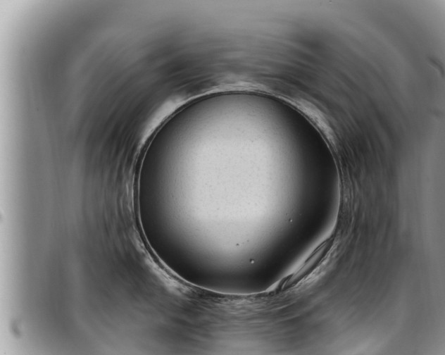 X0000097511054200802291615