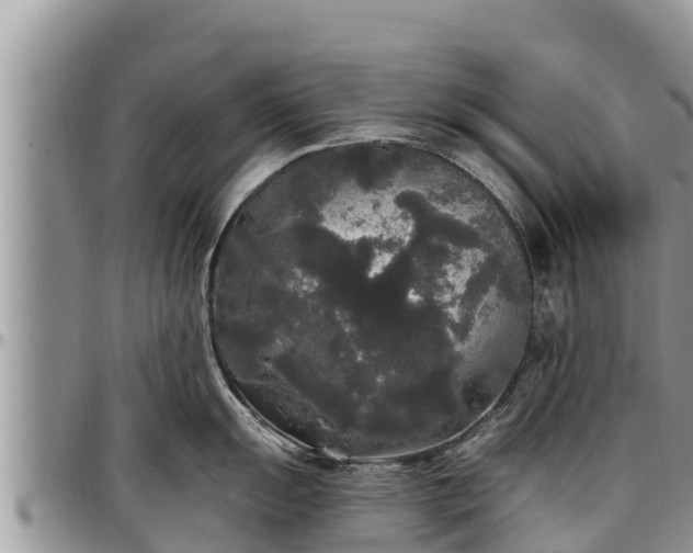 X0000097511055200802291615