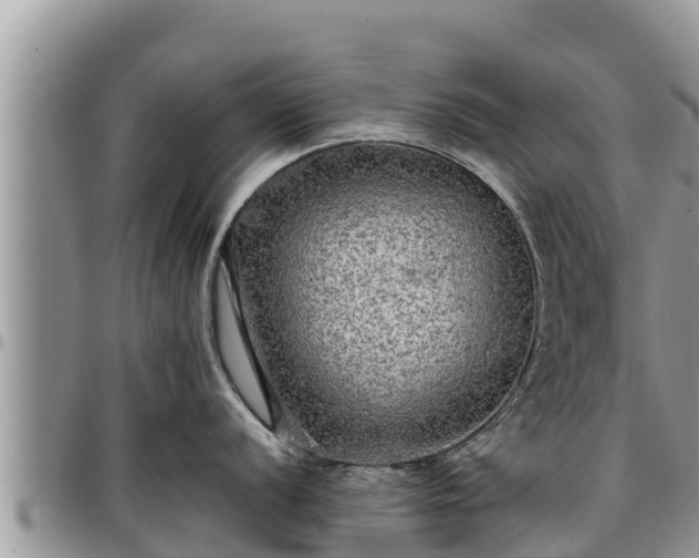 X0000097511056200802291615