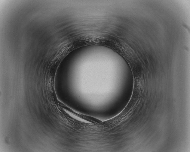 X0000097511060200802291614