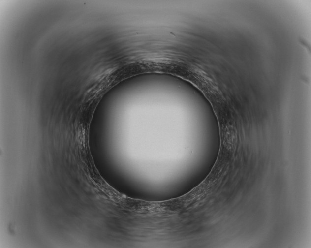 X0000097511061200802291614