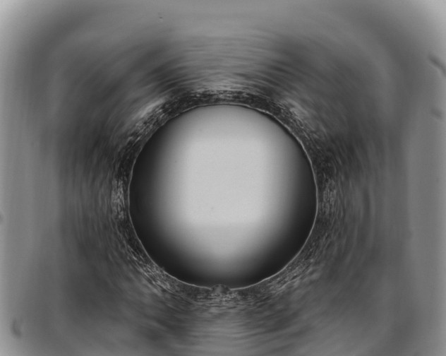 X0000097511062200802291614
