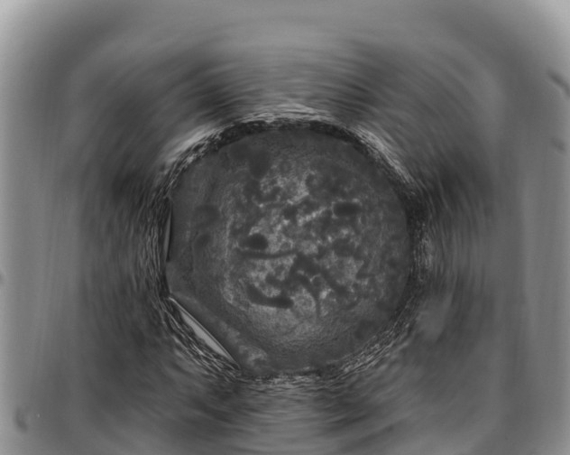 X0000097511063200802291614