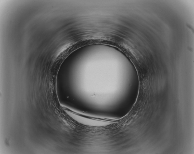 X0000097511064200802291614