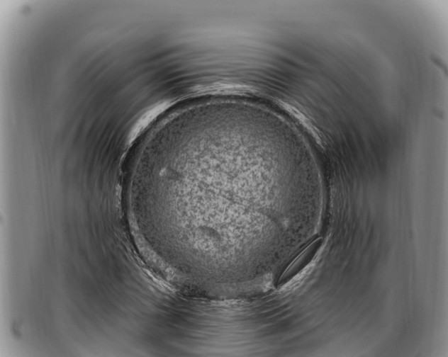 X0000097511066200802291614