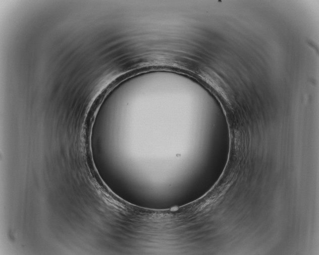 X0000097511068200802291614