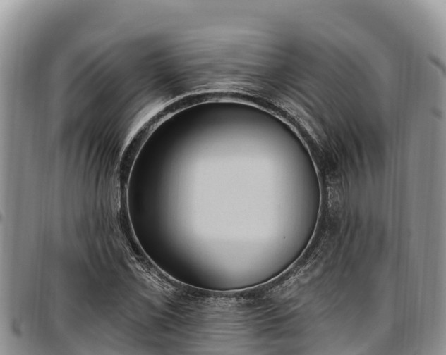 X0000097511069200802291614