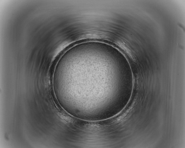 X0000097511070200802291614