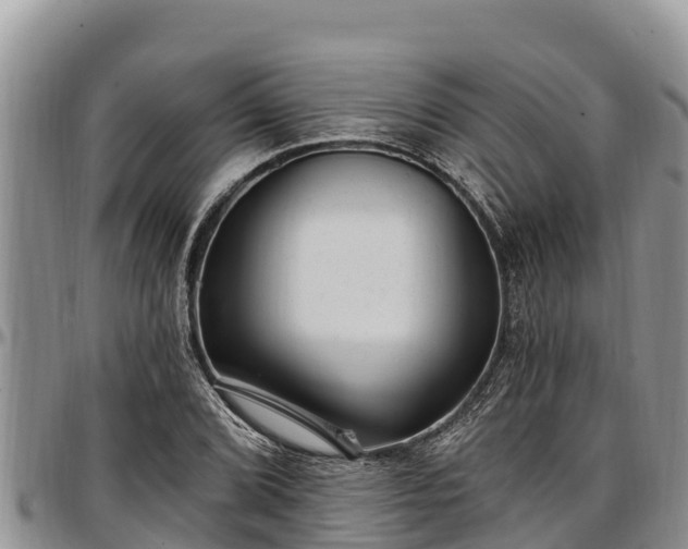 X0000097511072200802291614