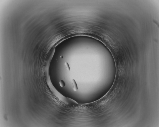 X0000097511073200802291614