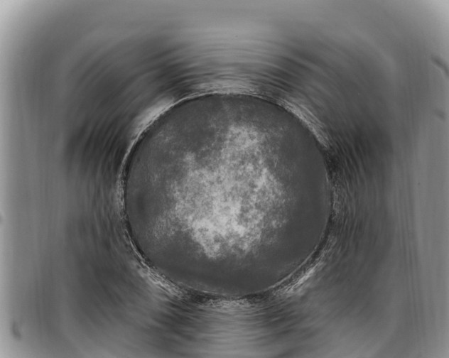 X0000097511074200802291614