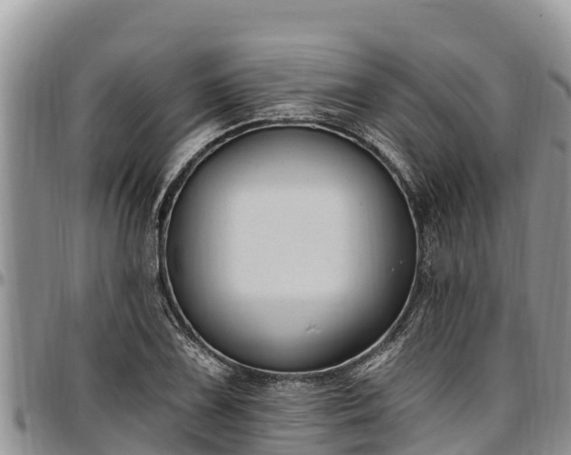 X0000097511075200802291614