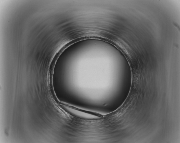 X0000097511076200802291614