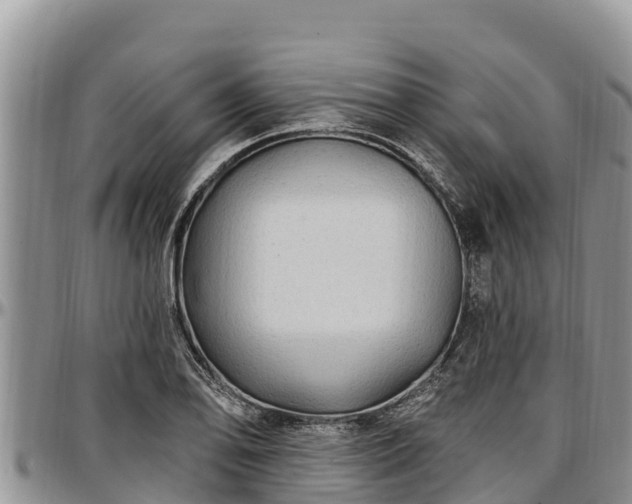 X0000097511078200802291614
