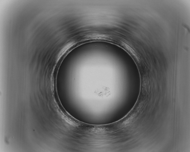 X0000097511082200802291614