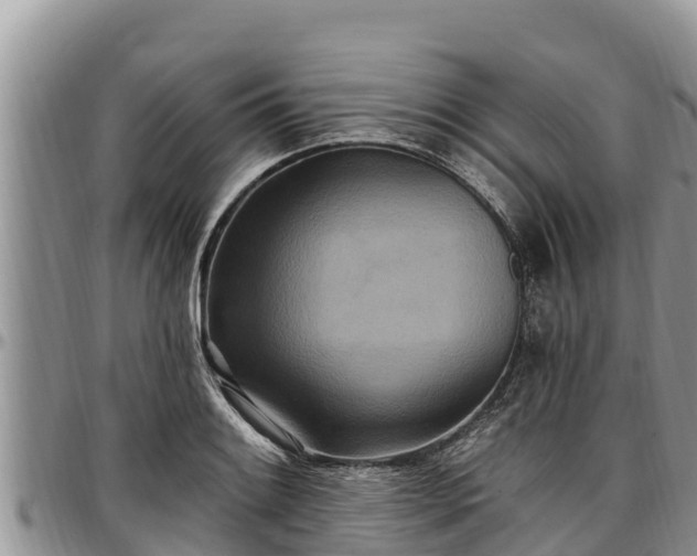 X0000097511084200802291614