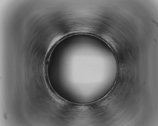 X0000097511085200802291614