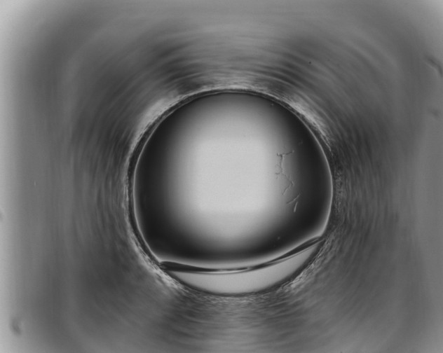X0000097511088200802291614