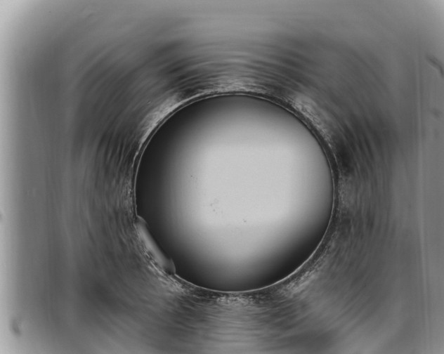 X0000097511089200802291614
