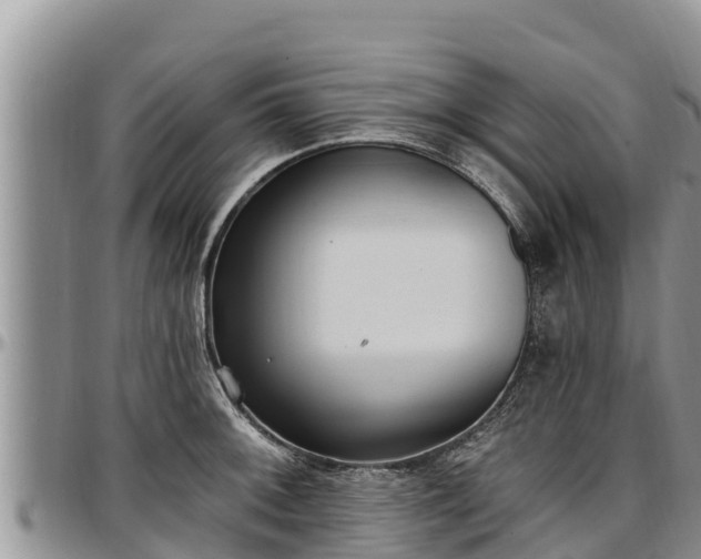 X0000097511092200802291614