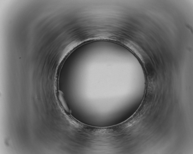 X0000097511093200802291614