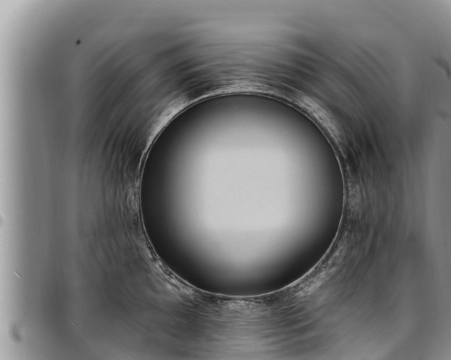 X0000097511097200802291614