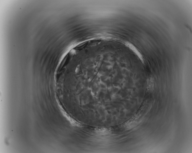 X0000097511099200802291614