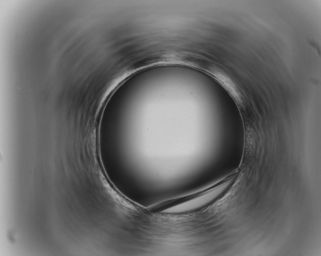 X0000097511100200802291614