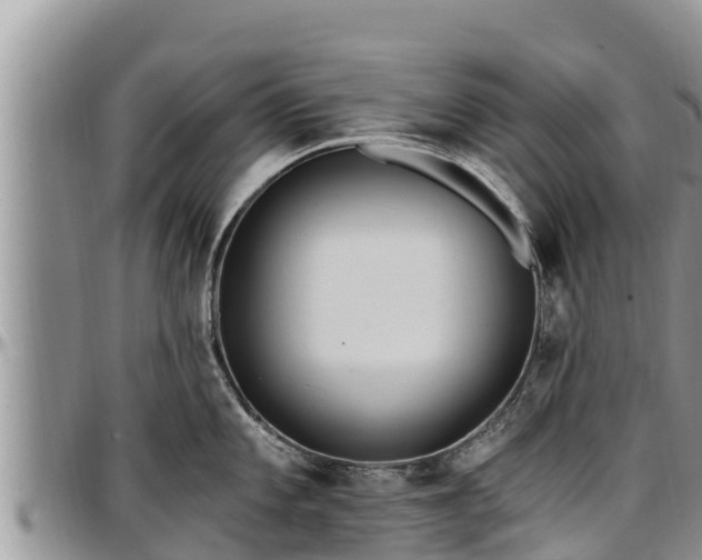 X0000097511101200802291614