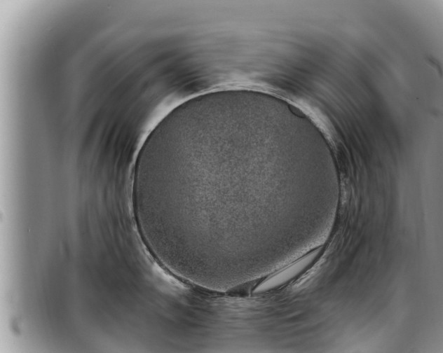 X0000097511102200802291614