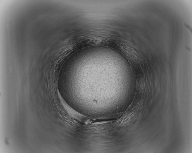 X0000097511105200802291613
