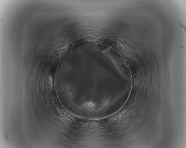 X0000097511106200802291613