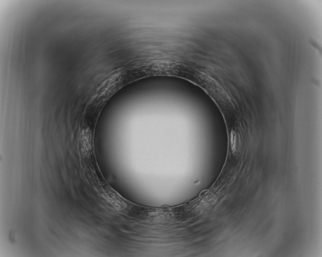 X0000097511107200802291613
