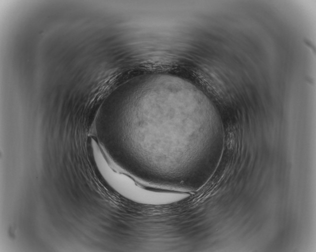 X0000097511108200802291613