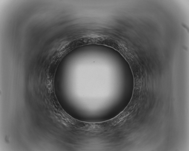 X0000097511109200802291613