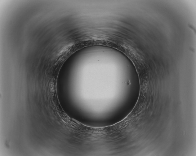 X0000097511110200802291613