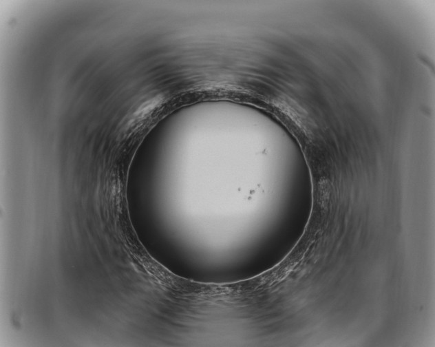 X0000097511111200802291613