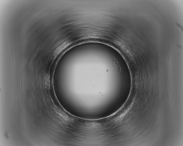 X0000097511113200802291613
