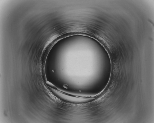 X0000097511114200802291613