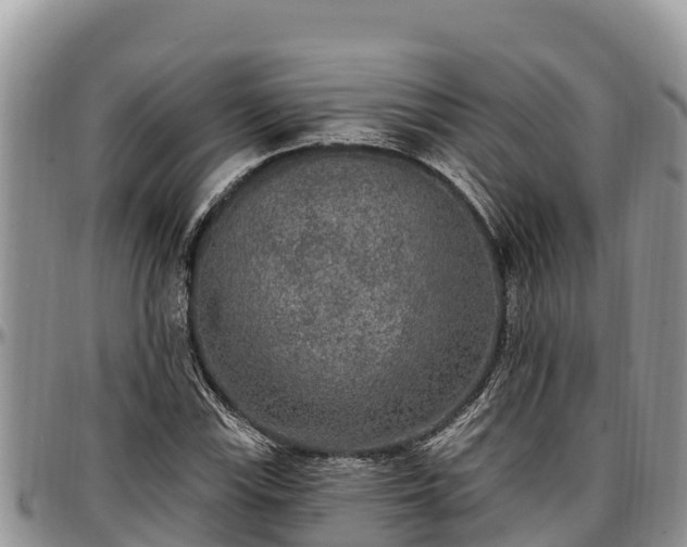 X0000097511115200802291613