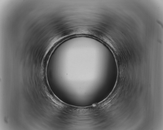 X0000097511116200802291613